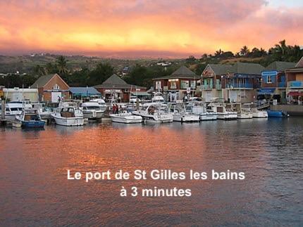 Prana Lodge Saint Gilles Les Bains 800 M De La Plage Экстерьер фото